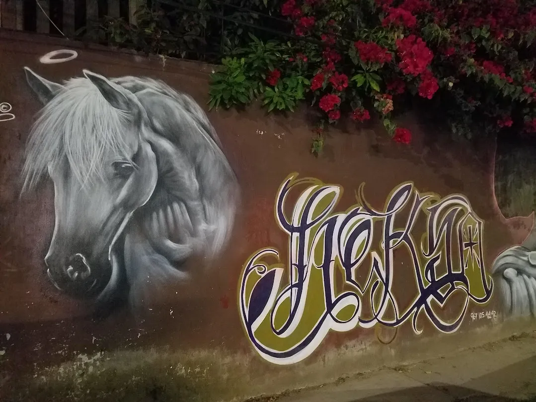 street art in san cris