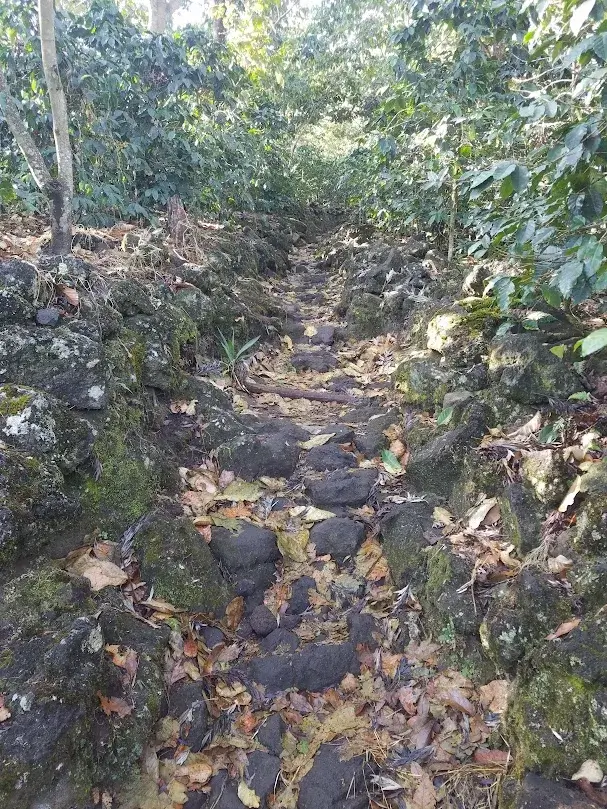 Path up Volcan Atitlan