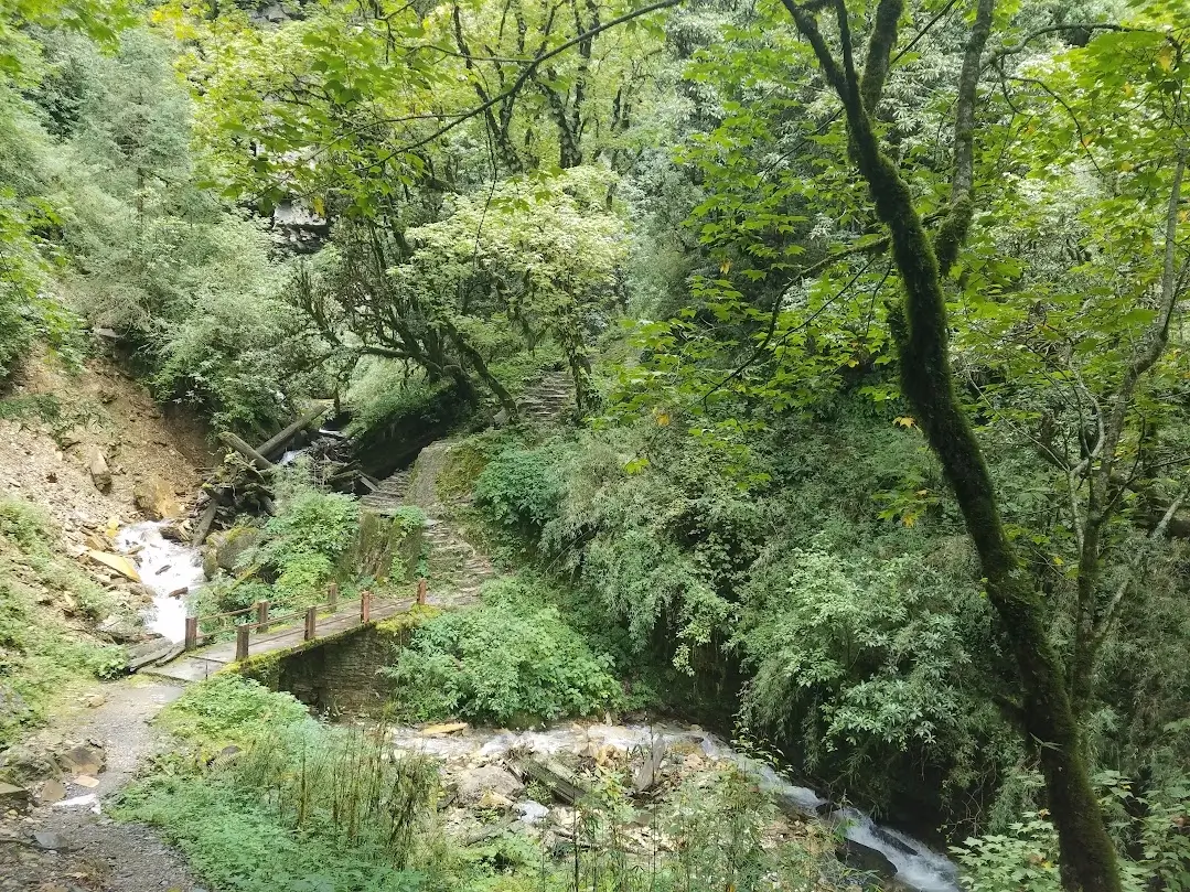 trail to tadapani from chomrong