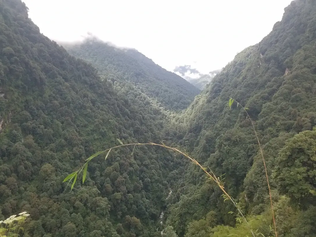 valley view out of chomrong