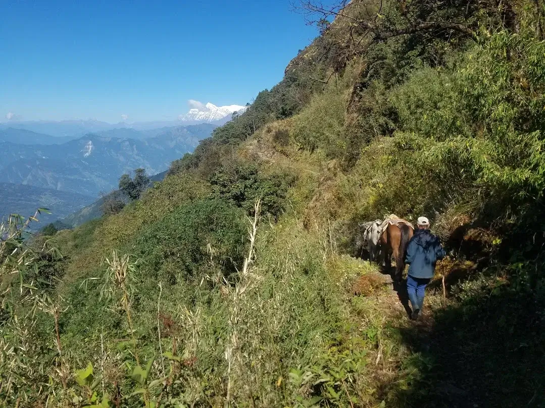 trail from dobato to khopra danda