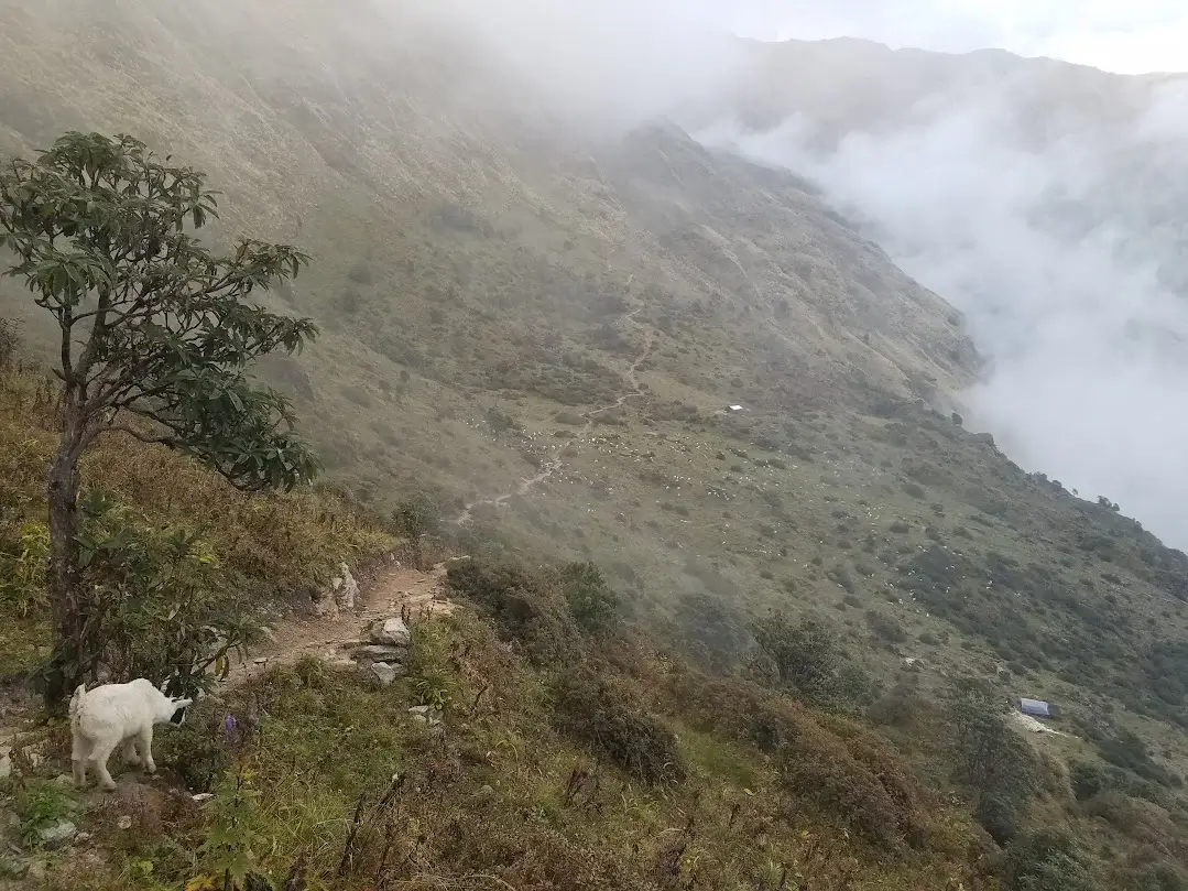 trail to hidden lake