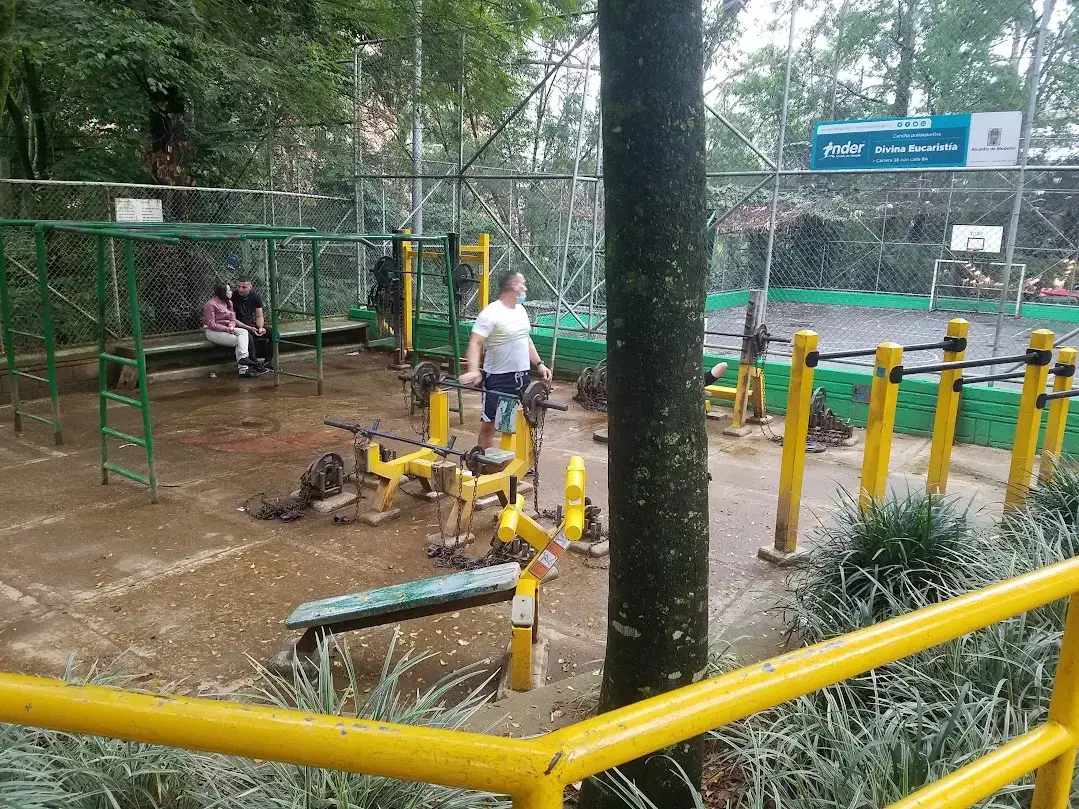 Calisthenics bars at Poblado gym
