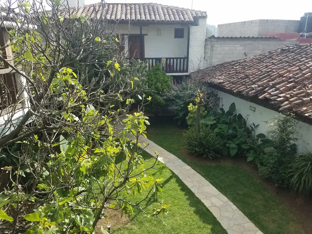 Rossco Hostel courtyard in San Cristóbal, a perfect spot for digital nomads