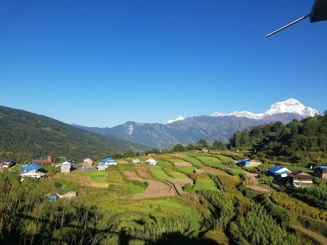 swanta mountain view