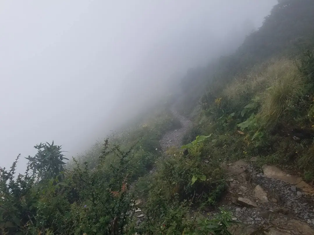 trail from tadapani to gorepani