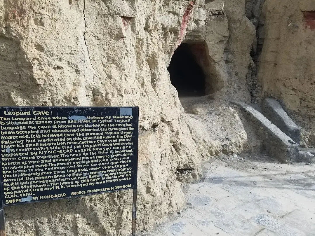 Leopared Cave in Thini